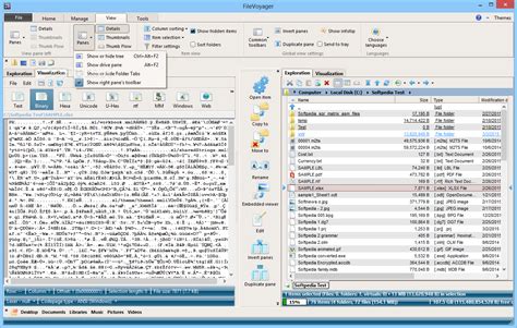 FileVoyager 25.2.4 Full (2025)